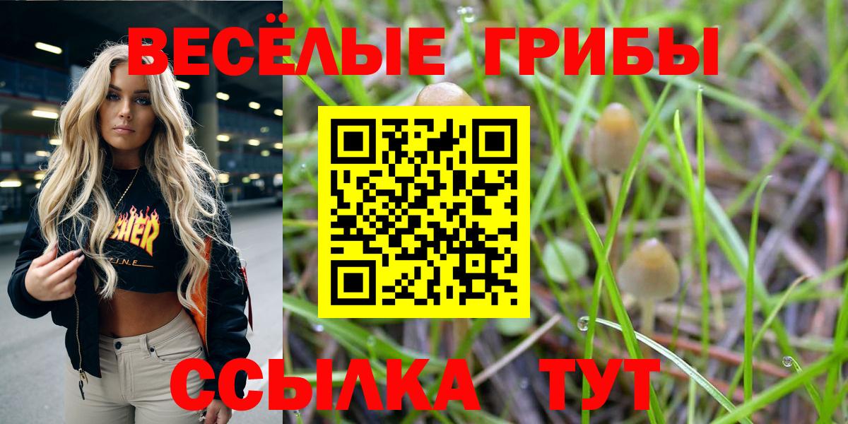 Ликино-Дулёво  Галлюциногенные грибы прущие грибы  Вход с VPN  Галлюциногенные грибы Psilocybine cubensis 